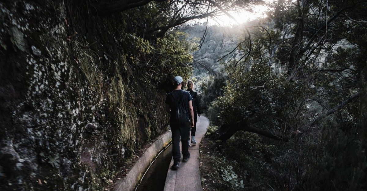 Two walkers on a narrow path beside a water channel running through Madeira's laurel forest
